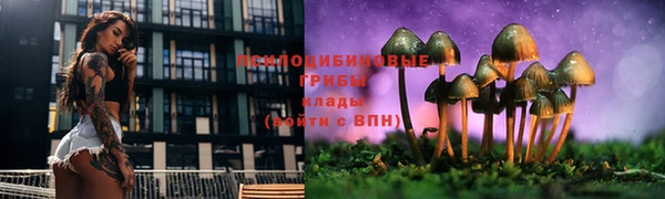 дживик Ладушкин